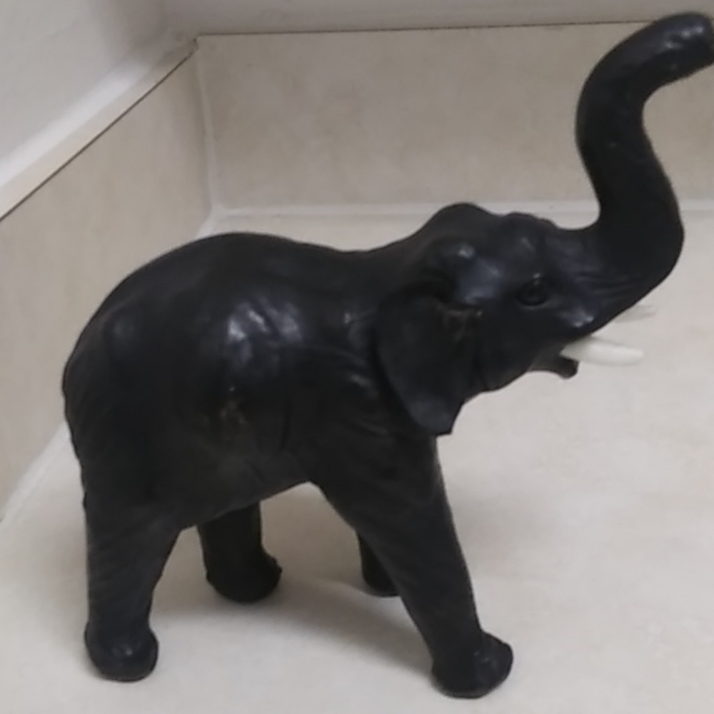Elephant - Picture 2 of 4